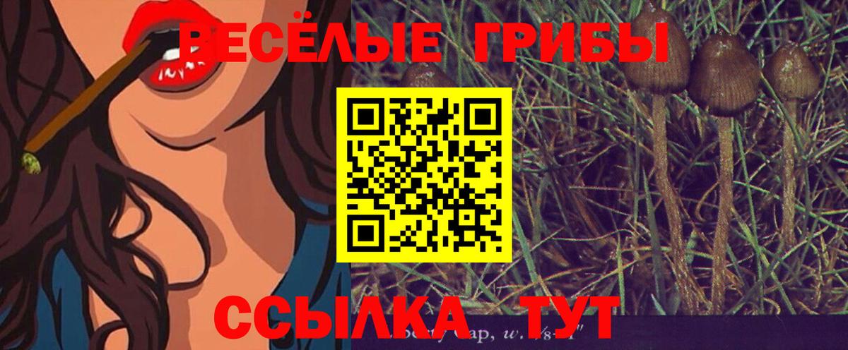 Псилоцибиновые грибы мицелий Назрань